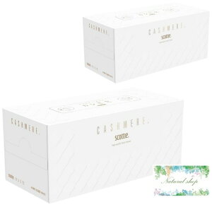 XRbeB JV~ eBV[ 440×2 ܃{bNXeBbV ܂Ƃߔ ܂