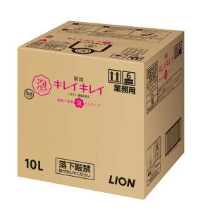 Ɩp eʃLCLC p Anh\[v 10L