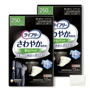 Ct[ ₩ jp Spbh Cɏo鎞Sp 250cc 26cm(12*2܃Zbg) zpbh Apbh lpނ փpbh IWieBbVt