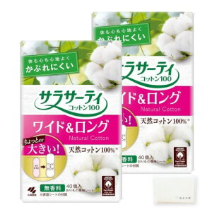 TT[eB Rbg100 ChO (40*2܃Zbg) peB[Ci[ ̃V[g IWieBbVt