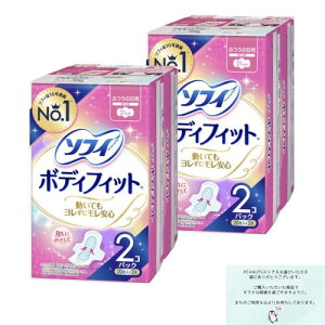 \tB {fBtBbg ӂ̓p H 21cm 80(20*4)(pi ivL) IWiJ[ht