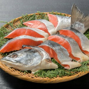 q sHrÉ ₳ 󂠂 800gx   TP ss Qlo^