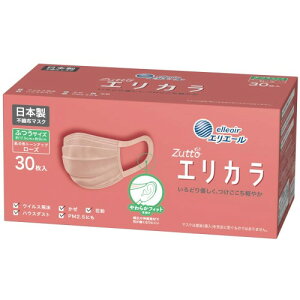 GG[ }XN GJ [Y ӂTCY 30 ({ sDz) PM2.5ΉE99%JbgtB^[