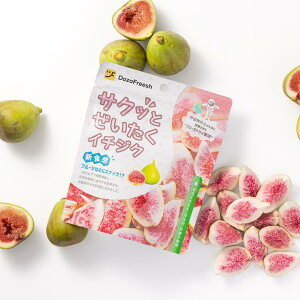 砂糖ゼロ ドライフルーツ イチジク ヘルシー 乾燥フルーツ フルーツ おかし おやつ ダイエット ギフト プレゼント 女性 母 友達 プチギフト お中元 手土産 ドーゾフリーシュ ダイエット 低カ