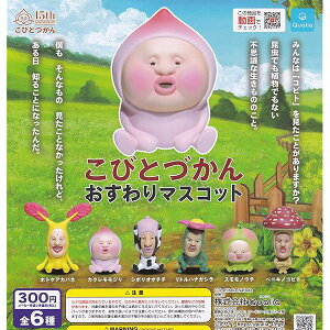 тƂÂ }XRbg(Ĕ) [S6Zbg(tRv)] K`K` JvZgC