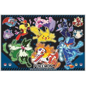 XP[^[(Skater) qp W[ V[g lp STCY  60×90cm |P 25 j̎q VS1-A