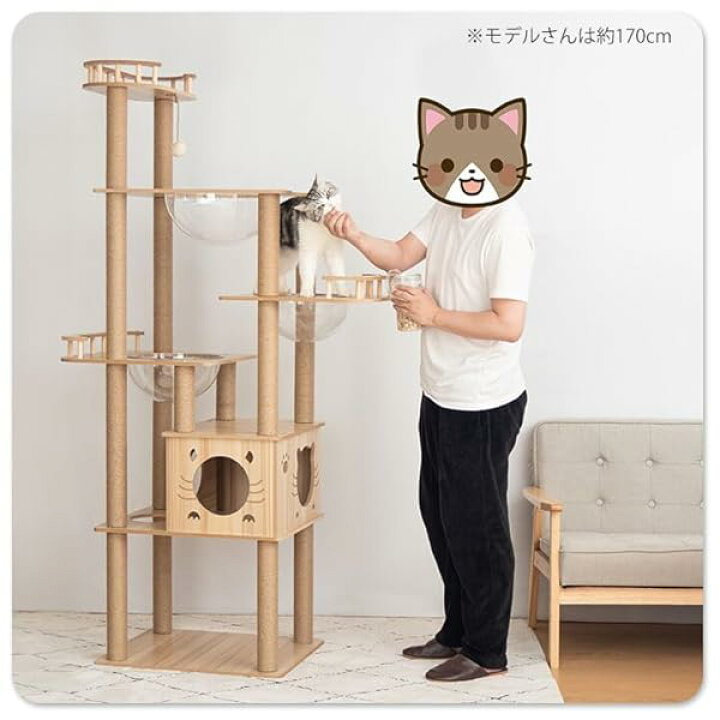 楽天市場】PETTIFUL キャットタワー 木製 据え置き 【販売元PETTIFUL 