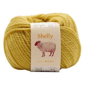 A(Motohiro) XL[ ҂ݖю VF[ѕ(10ʃZbg) Col.2003