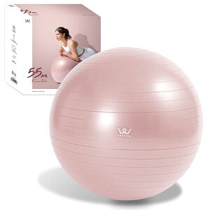 �A���C���R(ALINCO) �o�����X�{�[�� ���a55cm �֎q �X�c�[�� �y�� ��C����t�� �^���}�j���A���t�� �X�g���b�` �t�B�b�g�l�X ���K �G�N�T�T�C�Y �o�����X�^�� �ƒ�p WBF055 �s���N