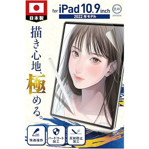  (vƐE) iPad 10 2022 10.9 C` p y[p[CNtB tB ㎿^Cv