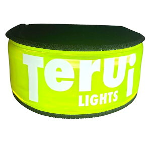 TERUI Lights Osaka jO Cg LED ˃oh ] ˔ EH[LO Cg A[oh  u  WMO Cg  h ԃWMOpCg ˃^XL o