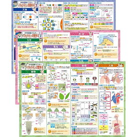 お風呂の学校 中学受験マスターどこでも理科 お風呂ポスター 3枚セット 日本製 中学受験に必要な理科まとめ B3サイズ 学習 知育 防水
