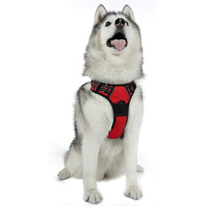 Rabbitgoo  n[lX ^ 34-57KG \tg 킢 p h~ SȂ TCY Ԕ Ȃ ʋC Pݖh~ U s⏕ V  ^ 