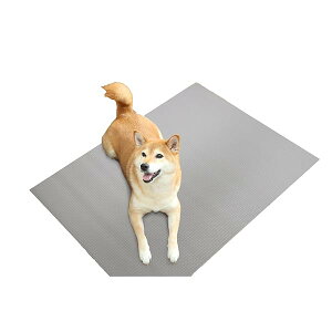 ybĝ߂̂h}bg O[ 60cm×90cm INAM-01 GY