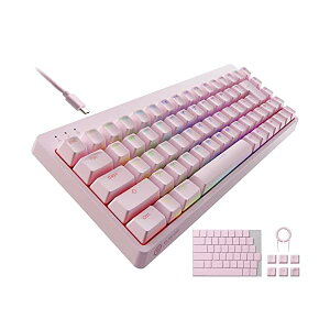 GR Q[~OL[{[h V-custom VK300S L RGB eL[X 65%TCY JjJ lINb`L[Lbv ⎲ Xs[hjA USB|[g sN TK-VK300SPN