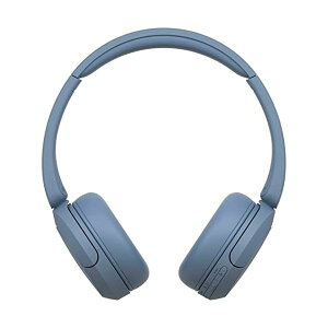 ソニー(SONY) ワイヤレスヘッドホン WH-CH520:Bluetooth対応/軽量設計 約147g/専用アプリ対応により好みの音質にカスタマイズできる「イコライザー」設定対応/ブルー WH-CH520 L 小
