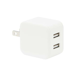 ����Ǖi �}���[�d�� USB-A 2�|�[�g MJ-PA2A LA1PMA3A