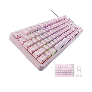 �G���R�� �Q�[�~���O�L�[�{�[�h V-custom VK310S �L�� RGB �e���L�[���X ���J�j�J�� �l�I�N���b�`�L�[�L���b�v �⎲ �X�s�[�h���j�A USB�|�[�g���� �s���N TK-VK310SPN