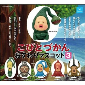 тƂÂ }XRbg3 [S6Zbg(tRv)] K`K` JvZgC