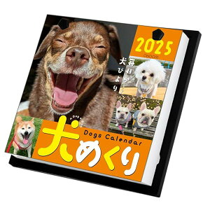 ߂ 2025N J_[ ߂ CK-D25-01