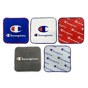 Champion(`sI) ~j^I5g 15×15cm WFlp^[ 5065014500