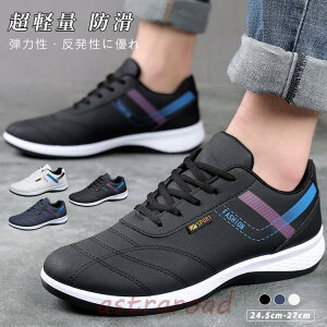 Xj[J[ StV[Y C Y  XpCNX L y JWA jO EH[LO 傫TCY h ^C ₷  