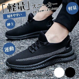 Xj[J[ Y nCJbg JWAV[Y C EH[LOV[Y X|[c ^  Vv ʋC y Ȃ am t