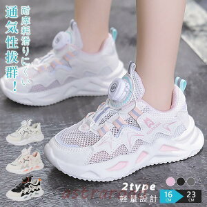 ^C V[Y _CV[Y 16cm?23cm WjA ̎q jOV[Y j̎q ȒP Xj[J[ _C ʉ ʊw LbY qC qp