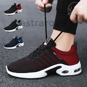 StV[Y Y y ₷ Stp Xj[J[ JWA jOV[Y EH[LOV[Y 傫TCY h ^C