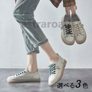 tbgV[Y fB[X Xj[J[ V[Y C  V pvX jO ɂȂ ₷ C r ʋ  WMO 20 30 40