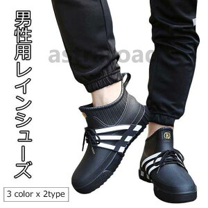 Y Cu[c CV[Y  JC j J Xj[J[ hV[Y J̓ C hC ~J 