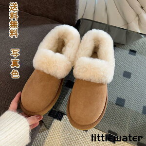 [gu[c V[g fB[X N t@[  ӂӂ h ۉ   GKg  Op fC[