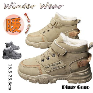 Xm[u[c LbY WjA h ̎q j̎q V h g N H~ EB^[u[c hu[c qC V[gu[c 킢 