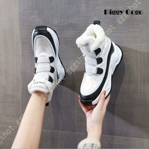 Xm[u[c fB[X C WjA V N Xm[V[Y O Ȃ ~C ȌC {A h  h ~ JWA