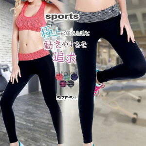 X|[cMX Kpc KEFA X|[c^Cc fB[X Xgb` qbvAbv r z