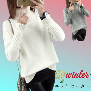 fB[X jbg Z[^[ vI[o[ ^[glbN  gbvX 㒅 jbgEFA g ю  x[VbN JWA