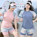 大きいサイズ 水着 レディース ぽっちゃり水着 上下セット パッド付き ワイヤーなし 体型カバー 着痩せ 韓国風 20代 3…
