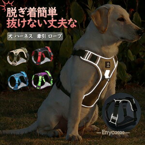 �� �n�[�l�X ���p ���� ���[�v �x�X�g�^ ���^�� ���^�� ��^���E�����ȒP �����Ȃ���v�� ������� ���킢�� �E���Ȃ� �Č� ���b�N ���� ��� �n���h��