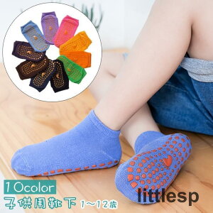 C V[g\bNX Ԃ\bNX LbY xr[ qp Ԃ ̎q j̎q  ~ߕt Vv