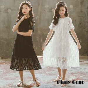 yX[p[Z[zqǂs[X ̎qs tH[}hX qhX \  傫TCY@