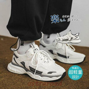 Xj[J[  fB[X Y LbY V[Y C y qC zCg ʊwC ^C  I[V[Y ɂ