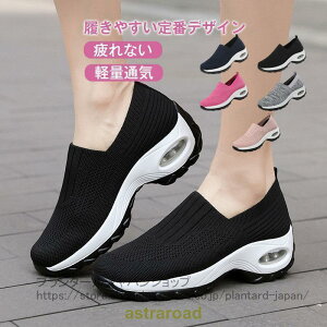  Xj[J[ fB[X V[Y r tbgV[Y X|[c JWA wlC Ȃ  ʋ ʊw ₷ 