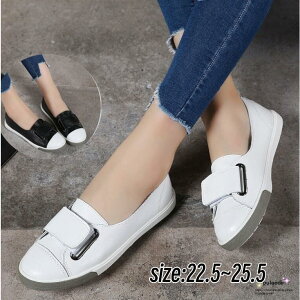 yX[p[Z[zpvX  ؂ tbg Xb| fB[X JWAV[Y ɂȂ Ȃ wlC tďH