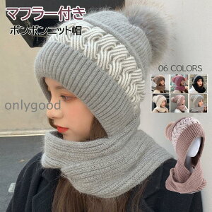 jbgX fB[X {{ Xq  }t[t hXq H~  킢 {A || ~pnbg jbgX _炩 g 킢 h