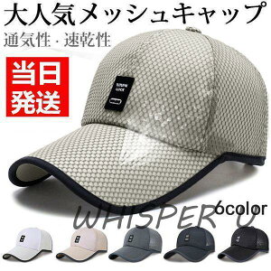 Xq Lbv Y bVLbv 싅X ʋCQ fB[X S UVJbg X|[c 6F jp ̓ v[g hV̓