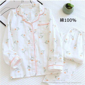 pW} 100  fB[X Zbg _uK[[ [EFA ㉺Zbg Opc Y{ K[[  Q Sn 킢 ԕ t  H ~