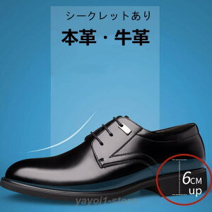 StV[Y Y bVV[Y Ȃ T_ pvX  bV ItBX T[} amC ʋ y U[ ^]  vC