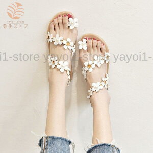 T_ fB[X  Xbp T_  ԕT_ r ₷ Ȃ JWA IV O O r[` ꂢ