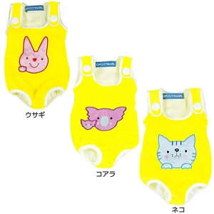 tbg}[N xr[ LbY XCEGA XC~O j xr[ Ԃp XC xr[n[lXIV  FOOTMARK 202354