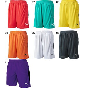 v[} Y LIGA GK pc pbhcL TbJ[EFA tbgTEFA {gX S[L[p[O[u ubN  bh  CG[ O[ p[v Vo[ F   